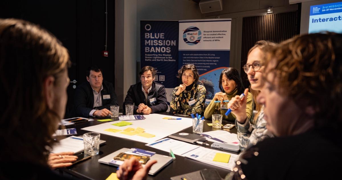 Stakeholder Engagement in Innovative Marine Solutions: Collaborative ...